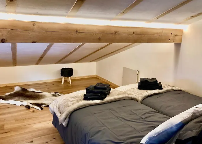 Σαλέ Chalet Plan Glacier *